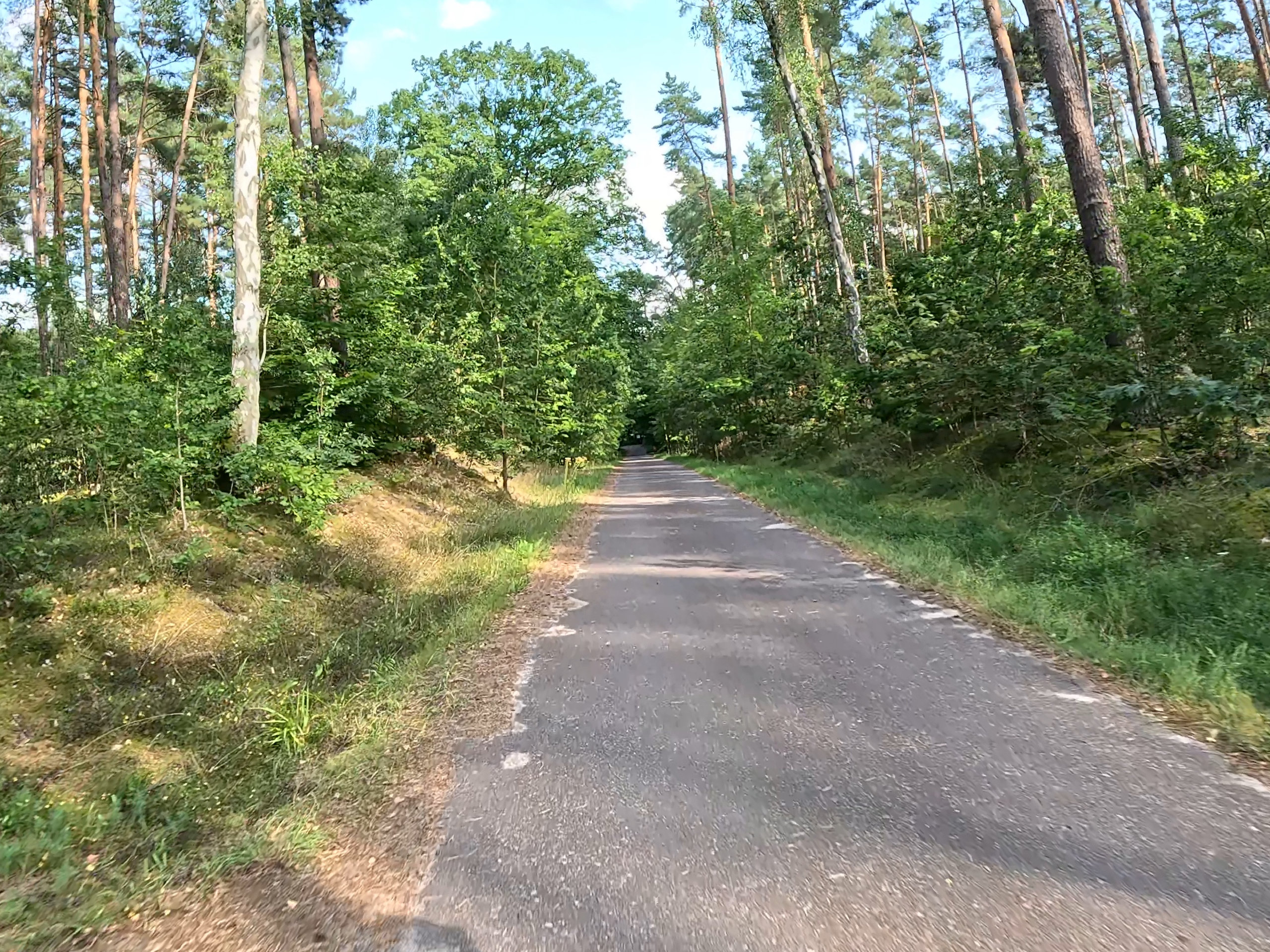 GX010638_FrameGrab_00