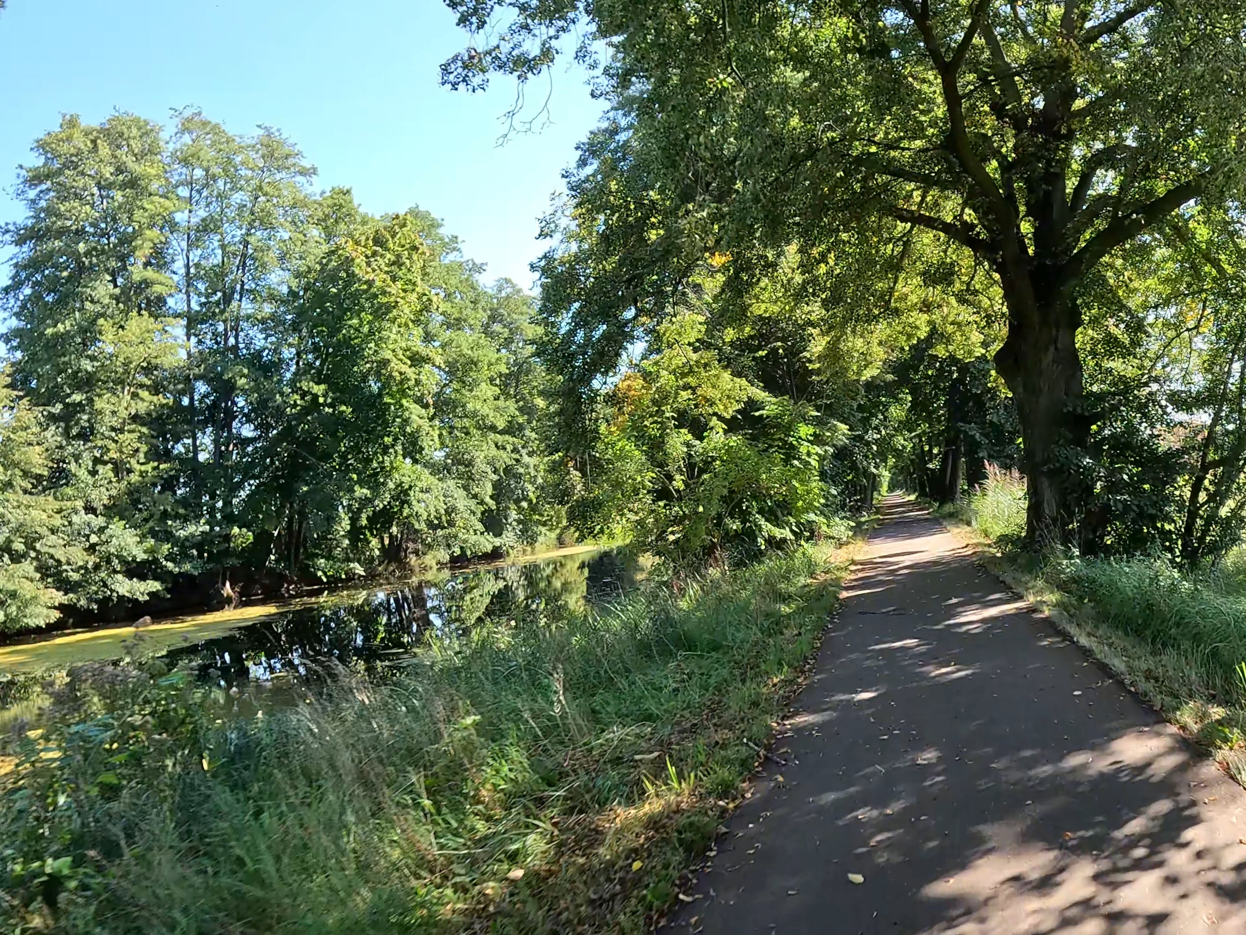 GX010653_FrameGrab_07 (1)