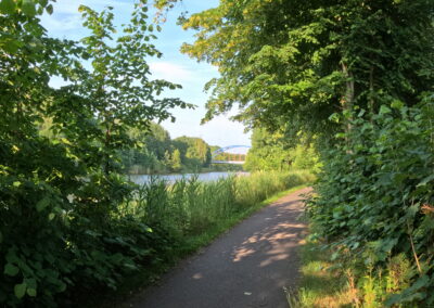 Oder-Havel-Radweg bei Zerpenschleuse