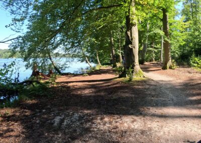 Weg am Werbellinsee zwischen Wildau und Altenhof