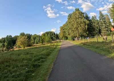 Oder-Havel-Radweg nahe Schleuse Grafenbrück