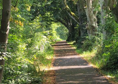 Oder-Havel-Radweg bei Marienwerder