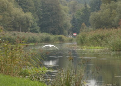 Finowkanal zwischen Eberswalde und Niederfinow